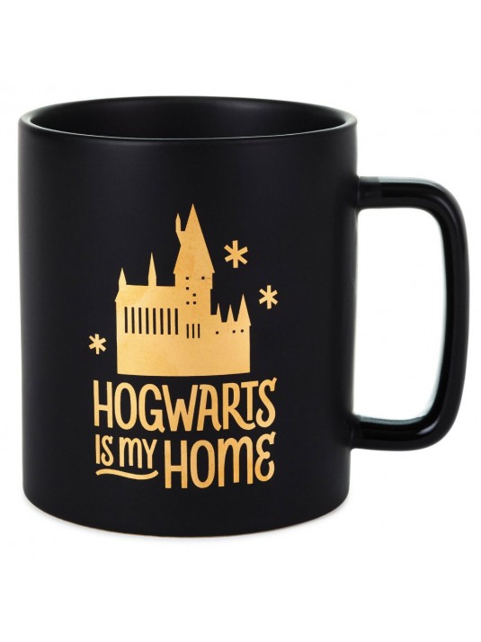 Harry Potter Alumni 22oz Double Walled Stainless Steel Tumbler